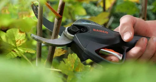 Les sécateurs électriques Bahco