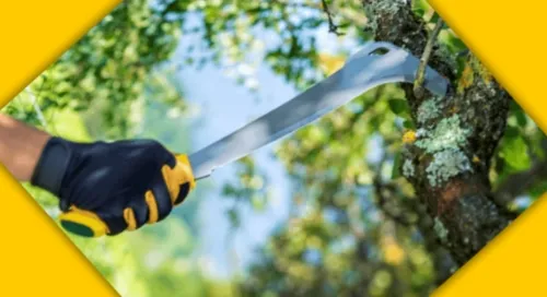 Toutes les serpes italiennes