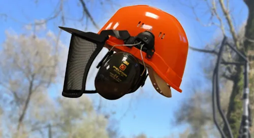 Casque forestier complet