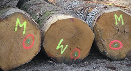 Tout le matériel de marquage forestier