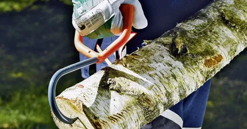 Les crochets forestiers pour manutention du bois