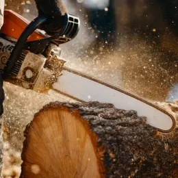 Tronçonneuse électrique