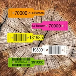 Plots Personnalisés Scierie