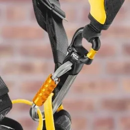 Emerillon Petzl