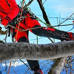 Pantalon anti coupure Pfanner