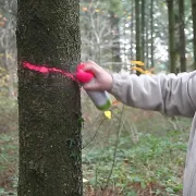 Peinture Fluo Marker SOPPEC