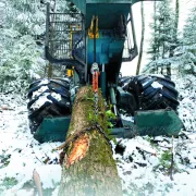 Câble Synthétique de Débardage SEQUOROPE