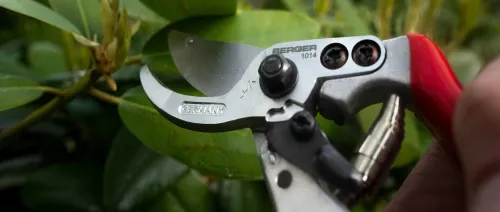 Notre gamme de sécateur