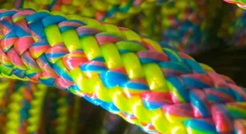 Les cordes d'élagage haut de gamme