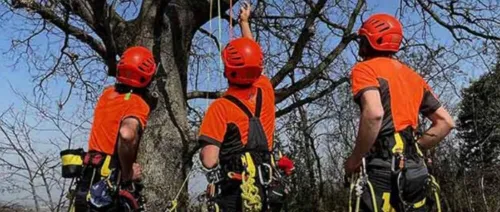 Nos connecteurs et mousquetons