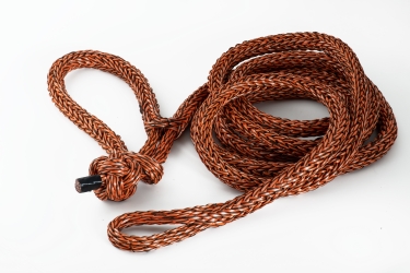 Elingue de Dérivation Sequorope -