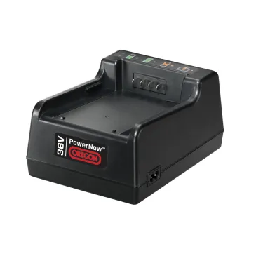 Chargeur de batterie standard C600