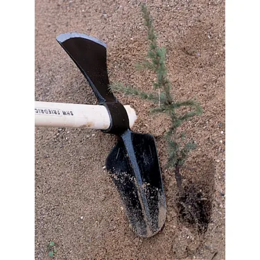 Houe Double à Tête Ovale, Sans Manche - SHW