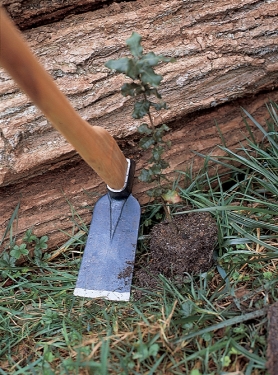 Houe simple sans manche