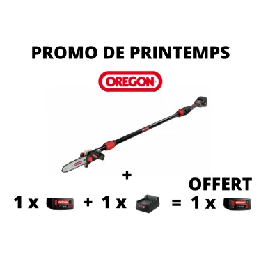 Elagueur sur Perche OREGON PS250 / 2 x 4.0Ah / Chargeur Standard