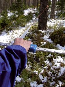 Gator Eyes pour Mantax Blue 65 cm. (laser rouge)