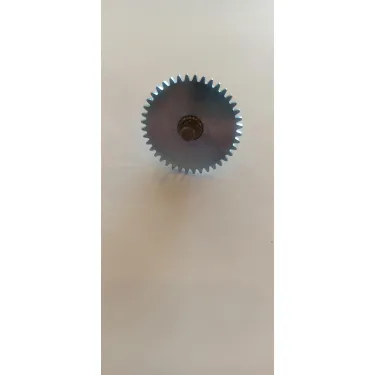 Pignon avec engrenage