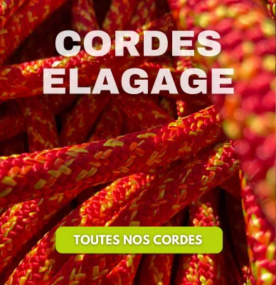 Cordes pour élagueur