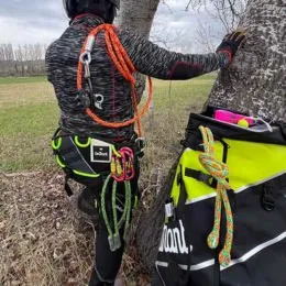 Kit élagage Courant