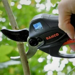 Sécateur électrique