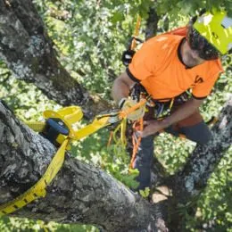 Fausse fourche étrangleuse