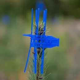 Protection gibier pour arbre