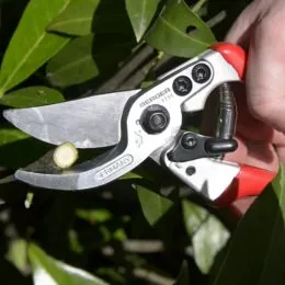 Sécateur professionnel