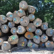 BLEU Numéro seul les 1000 pièces - N° 8001 à 9000