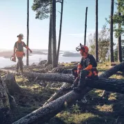 Casque Forestier Technical Husqvarna