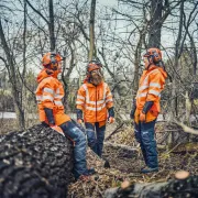 Coquilles antibruit Bluetooth, X-COM Active - HUSQVARNA