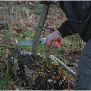 Scie pliante droite Silky Pocketboy 130