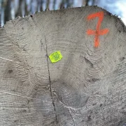 Plaquettes ROUGES - N° 06001 à 07000