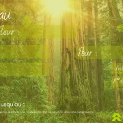 Bon Cadeau de 200 €