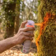 Utilisation de la peinture Ergonom DISTIEN