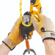 Descendeur RIG PETZL