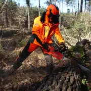 Pantalon Infinity SOLIDUR Orange