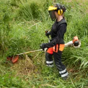 Lame de débroussailleuse 2 dents - Ø 300 mm - épaisseur 3 mm