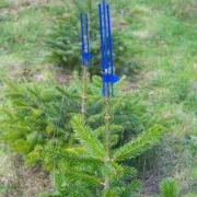 PlantaGard cactus PRO BLEU x1000