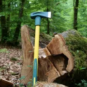 Merlin Éclateur Standard de 2,5kg LEBORGNE