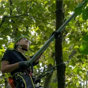 Perche Telescopique ArboRapid Ultra Light en Carbone, 4 éléments - BERGER