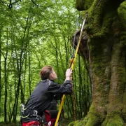 Big Shot NOTCH - 2 Elements