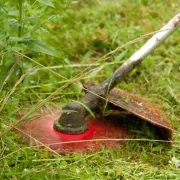 Lame de débroussailleuse 2 dents - Ø 300 mm - épaisseur 3 mm