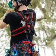 Harnais torse SRT upMOTION Teufelberger - Taille S / M