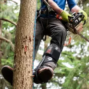 Griffes en carbone avec sangles velcro, pointes courtes - DISTEL