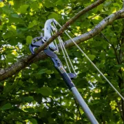 Echenilloir ArboRapid BERGER