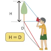 Dendromètre simple Ludde