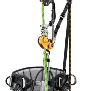 Harnais Elagueur Sequoia SRT PETZL