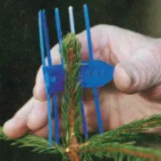 Protection bourgeon Plantagard Cactus bleu (paquet de 100 pièces)