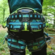 treeMOTION Pro Edition Limitée