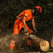 T-shirt à manches courtes haute visibilité, Orange - TREEHOG